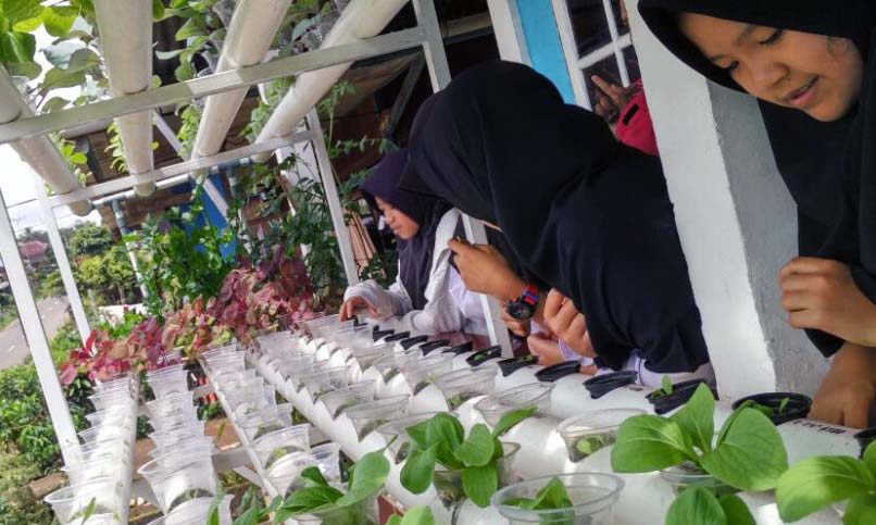 Hidroponik, Penyuluh Barito Timur Kenalkan Anak Bertani sejak Usia Dini
